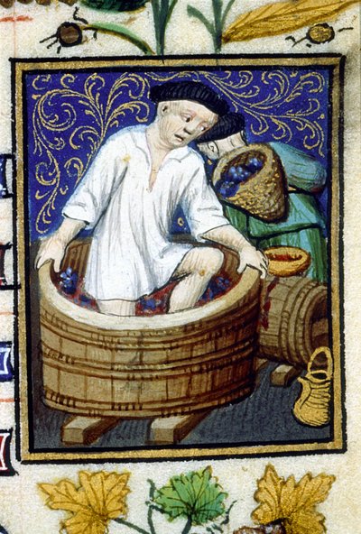 Allegorische Darstellung des September. Ernte, Traubenentfernung. Miniatur eines Manuskripts aus dem 14. Jahrhundert. von Unknown artist