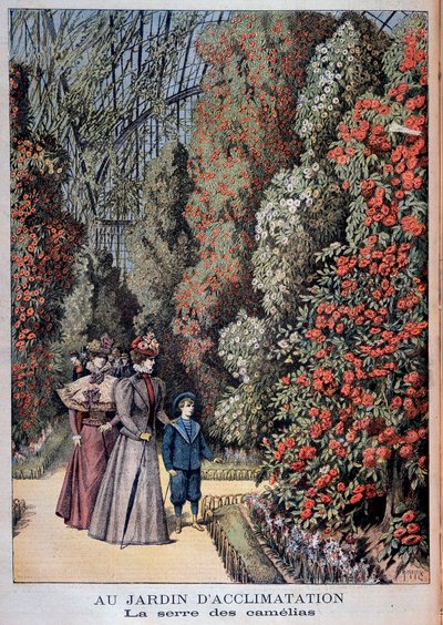 Im Jardin d