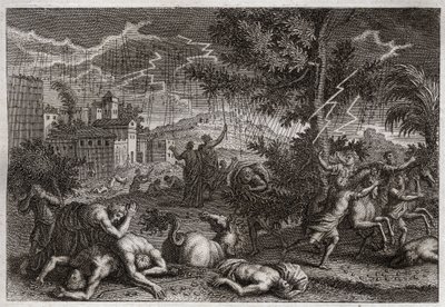Bibel von Royaumont, Altes Testament: Die zehn Plagen Ägyptens. Illustration von 1811. von Unknown artist