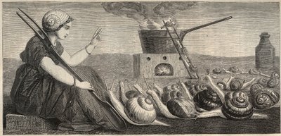 Burgunderschnecke - Kupferstich 19. Jahrhundert von Unknown artist