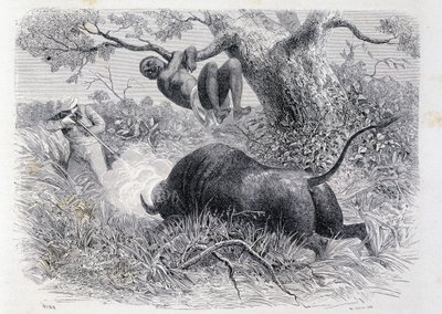 Kapitän Speke jagt Büffel - in "Tour du Monde" von Unknown artist