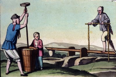 China, links das Reishülsen und rechts die Wasserregulierung für die Stecklinge - in „Das alte und moderne Kostüm“ von Jules Ferrario von Unknown artist