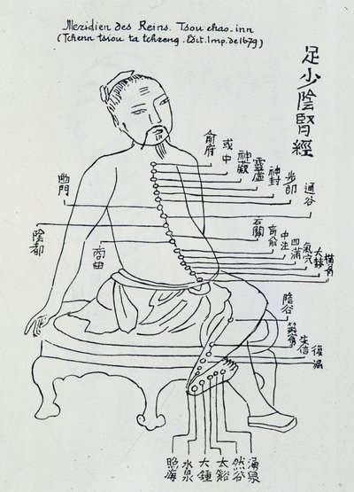 Chinesische Akupunktur: der Meridian der Nieren von Unknown artist