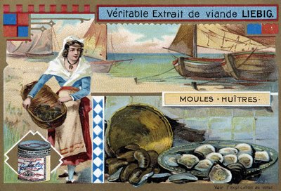 Sammlung von Muscheln und Austern - Liebig Chromolithographie, um 1900 von Unknown artist