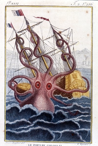 Kolossaler Oktopus (Riesenkrake) greift ein Schiff an - Gravur aus dem Buch von Pierre Denys-Montfort „Histoire naturelle des mollusques“, Originalausgabe von 1802 von Unknown artist