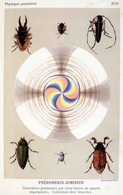 Färbung präsentiert durch zwei überlagerte Quarzblätter, färbende Insekten - in „La physique populaire“ von Emile Desbeaux von Unknown artist