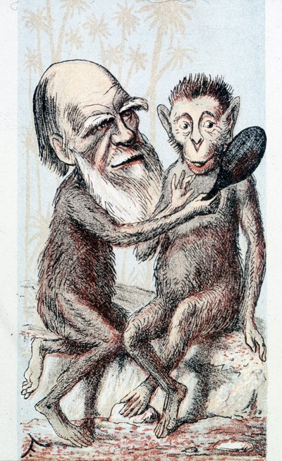 Komische Zeichnung zur Darwinschen Theorie - in „London Sketchbook“ von Unknown artist