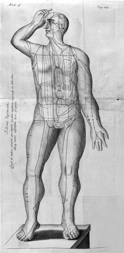 De Acupunctura von W. Ten Rhijne. London 1683. Erster westlicher Text über Akupunktur von Unknown artist