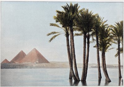 Ägypten: die Flut des Nils und die Pyramiden von Gizeh von Unknown artist