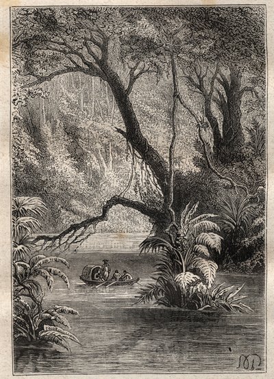 Expedition nach Amerika (1799-1804) von Alexander von Humboldt (1769-1859) und Aime Bonpland (1773-1858): die Entdecker fahren den Orinoco hinunter, umgeben von den gigantischen Bäumen des Amazonaswaldes (Cano Pimichin, Venezuela) - Illustration aus „Die g von Unknown artist