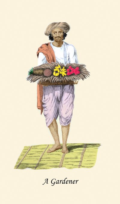 Gärtner von Unknown Artist