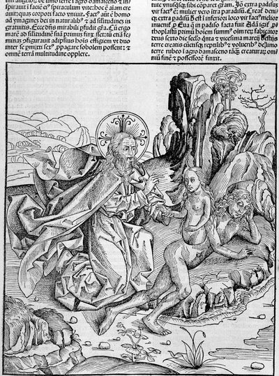 Gott gebiert Eva aus Adams Oberschenkel - in „Nürnberger Chroniken“ von Unknown artist