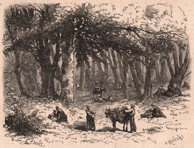 Gruppe von Menschen beim Pilzesammeln im Wald von Fontainebleau von Unknown