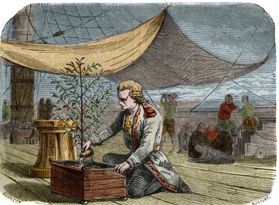 Geschichte des Cafés: Kapitän Gabriel de Clieu (Declieux, Desclieux) (1687/1678- ca. 1774), beauftragt von König Ludwig XIV. im Jahr 1725, eine Kaffeepflanze nach Martinique zu bringen, teilt mit ihm seine Wasserration, um ihn vor dem Austrocknen zu retten von Unknown artist