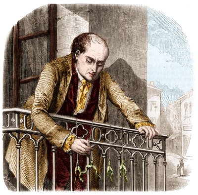 Illustration von Experimenten von Luigi Galvani, italienischer Physiker und Arzt (1737 - 1798) mit Fröschen von Unknown artist