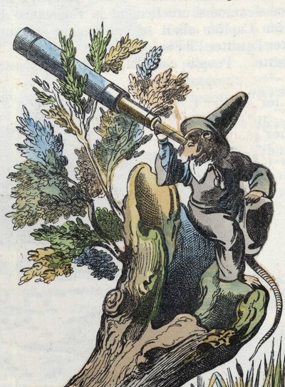 Illustration des Märchens „Der schreckliche Raminagrobis und die Mäuse“, Charakter aus Fabeln von Jean de la Fontaine. In „Tales from the home for the little ones“. Anonyme Gravur des 19. Jahrhunderts von Unknown artist