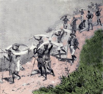 Elfenbeinhandel: Karawane von kongolesischen Trägern tragen Elefantenstoßzähne. Gravur aus dem 19. Jahrhundert von Unknown artist