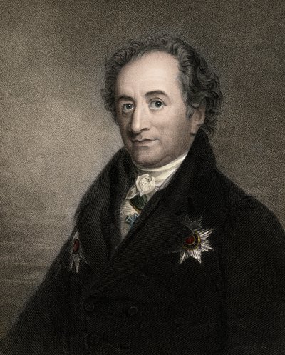 Johann Wolfgang von Goethe 1749-1832 (19. Jahrhundert) von Unknown artist