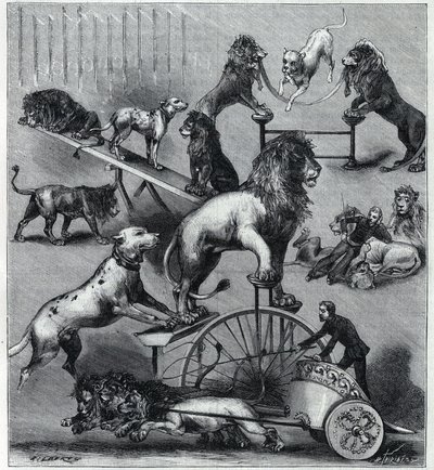 Dressierte Löwen des Neuen Zirkus in Paris: verschiedene Kunststücke einer akrobatischen Nummer mit Löwen, Dompteuren und Hunden. Gravur in „La Nature“ 1890. Private Sammlung. von Unknown artist