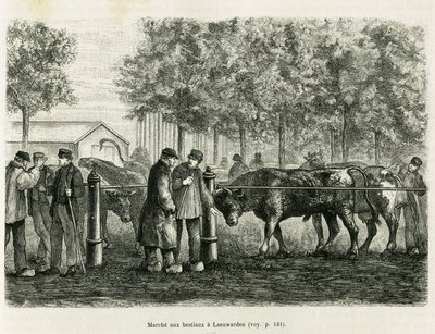 Viehtrieb in Leeuwarden (Niederlande). Gravur zur Illustration der Geschichte La Frise, basierend auf einem Bericht einer niederländischen Zeitung, in Le Tour du monde 1886, herausgegeben von Edouard Charton (1807-1890), Hachette, Paris. von Unknown artist