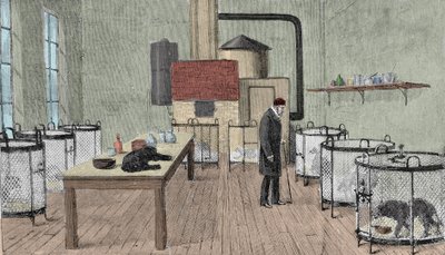 Louis Pasteur (1822-1895), französischer Chemiker und Physiker in seinem Labor in Paris. von Unknown artist