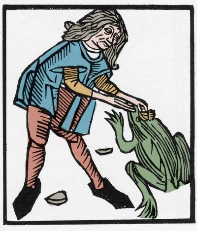 Mann, der den Krötenstein für magische Zwecke extrahiert - Gravur 1491 in „Hortus sanitatis“ von Johann Wonnecke von Caub von Unknown artist
