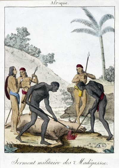 Militärischer Eid der Einwohner von Madagaskar (schlachteten einen Ochsen), Gravur 1811 von Unknown artist
