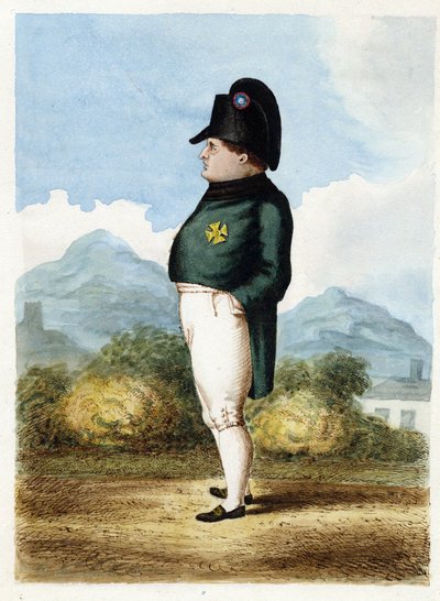 Napoleon Bonaparte auf der Insel St. Helena von Unknown artist