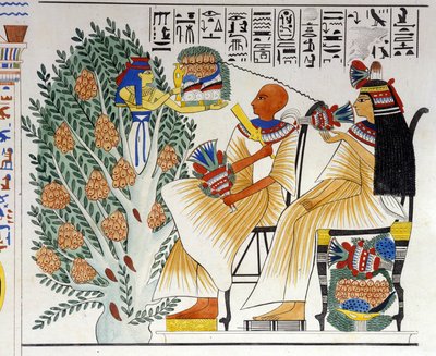Nephtys, ägyptische Göttin, entspringt dem mystischen Baum und bietet dem Verstorbenen Nahrung an - in „Monuments of Egypt and Upper Nubia“ von Ippolito Rosellini. 19. Jahrhundert von Unknown artist