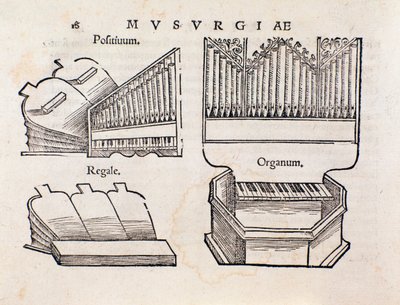 Orgel Darstellung. Seite aus Musurgia, praktisches Handbuch der Musik von Unknown artist