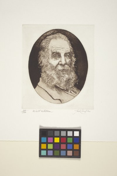 Porträt von Walt Whitman von Unknown artist