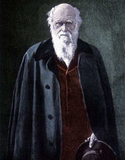 Porträt von Charles Darwin, britischer Naturforscher (1809 - 1882) von Unknown artist