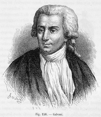 Porträt von Luigi Galvani, italienischer Arzt und Physiker (1737 - 1798) - in „Magnetismus und Elektrizität“ von Amédée Guillemin von Unknown artist