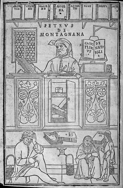 Porträt von Pietro da Montagnana, einem Paduaner Mediziner von Unknown artist