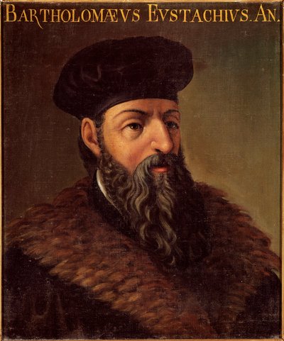 Porträt des italienischen Anatomen und Arztes Bartolomeo Eustachi (1505-1574) von Unknown artist