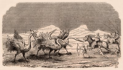 Darstellung mittelalterlicher Stämme und Tierarten: Gruppe von Pygmäen, die gegen Kraniche kämpfen von Unknown