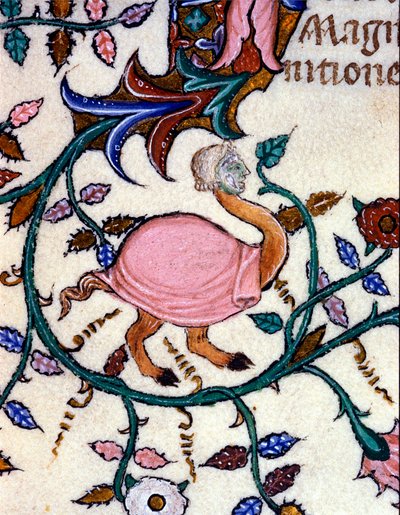 Darstellung eines Monsters mit Straußenkörper und Menschenkopf (Miniatur) von Unknown artist