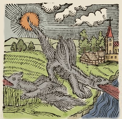Darstellung von Basilisken im Flug, die Weizenfelder verbrennen. Gravur aus „Prodigiorum ac ostentorum chronicon“ von Conrad Lycosthenes (1518-1561). 1557. von Unknown artist