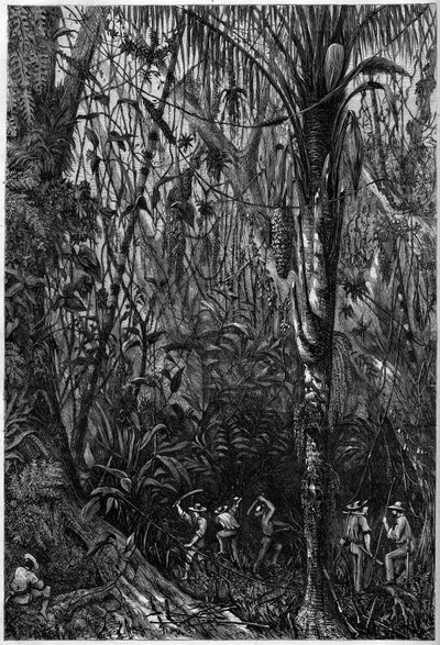 Straßenbau in Mittelamerika: Das Bohren der nicaraguanischen Straße durch einen Urwald. Zeichnung von Leutnant Olivier, Mitglied der Expedition von Kapitän Bedford Pim von Unknown artist