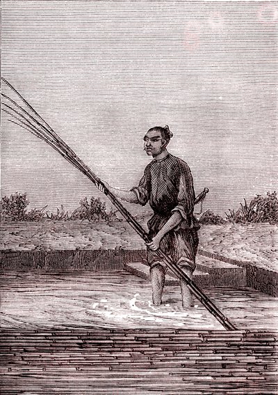 Rosten des nassen Bambus, Papierherstellung in China (3. Jahrhundert v. Chr.) (Gravur) von Unknown Artist