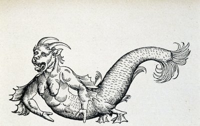 Seeteufel, angeblich Anfang des 15. Jahrhunderts in der Adria gefangen - nach Gesner von Unknown artist
