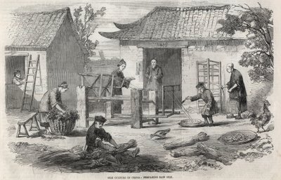 Seidenproduktion in China und die verschiedenen Herstellungsstufen. von Unknown artist