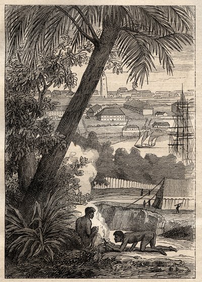Die Expedition in die südlichen Länder (1800-1803) von Nicolas Baudin (1754-1803): Ansicht von Sydney (Australien) - Illustration aus „Die großen Seefahrer des 18. Jahrhunderts“ von Unknown artist