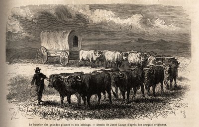 Das große Prärie-Rind und sein Gespann. Gravur zur Illustration der Reise in den amerikanischen Wilden Westen, von M. L. Simonin, 1867, veröffentlicht in „Le tour du monde, nouveau journal des voyages“, herausgegeben von Edouard Charton von Unknown artist