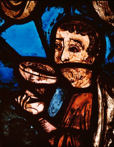 Die Entdeckung des Weins von Unknown Artist