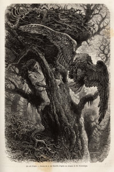 Der Adler schützt sein Nest vor dem Eindringling. Illustration der Geschichte Quatre mois en Florida, von M. Pousselgue, 1851-1852, veröffentlicht in "le tour du monde", unter der Leitung von D