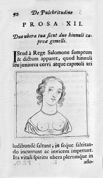 Die weibliche Brust. Seite aus „Tractatus physiologicus de pulchritudine“ von Ernesto Venio (1612) von Unknown artist