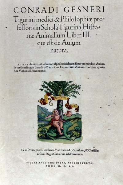 Das Frontispiz des dritten Bandes von Historia Animalium von Conrad Gesner (1516 - 1565), Tiguri von Unknown artist