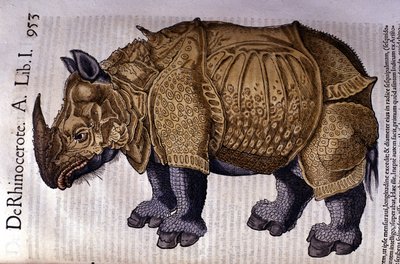 Das Nashorn nach „Historia Animalium“ von Conrad Gesner, Tiguri 1560. von Unknown artist
