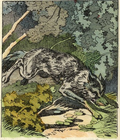 Der Wolf rennt zum Haus der Großmutter. Illustration des Märchens „Rotkäppchen“ von Charles Perrault von Unknown artist